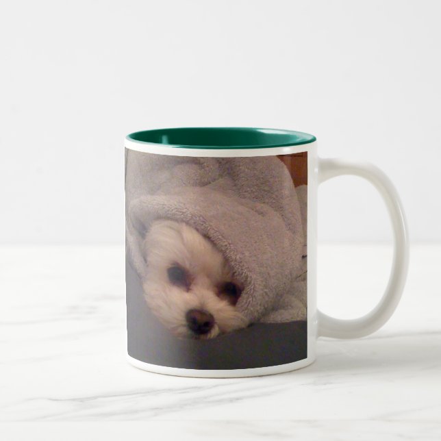 Bicolor Taza soñolienta del maya del tiempo (Derecha)
