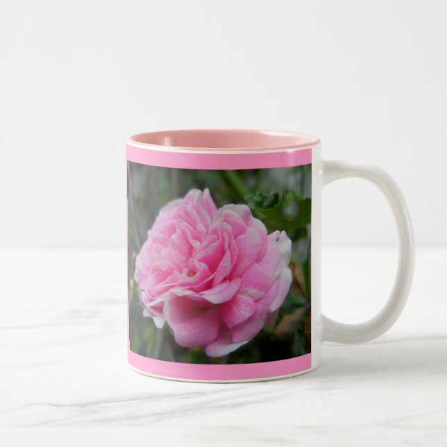Bicolor Taza subió que sube rosada (Derecha)