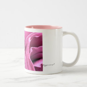 Bicolor Taza subió rosa del 4:8 de los filipenses
