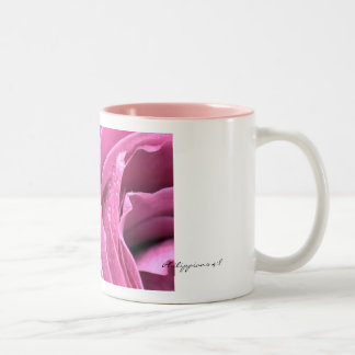 Bicolor Taza subió rosa del 4:8 de los filipenses