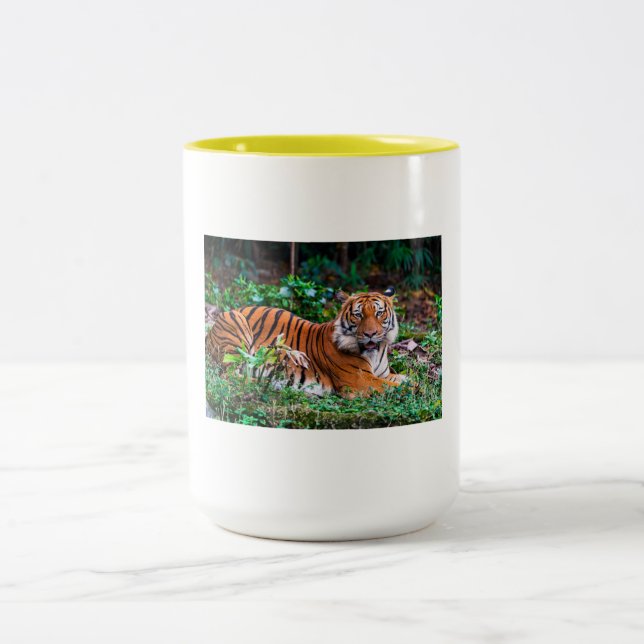 Bicolor taza tg (Centro)