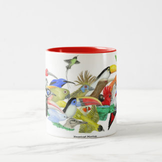 Bicolor Taza tropical de la nación