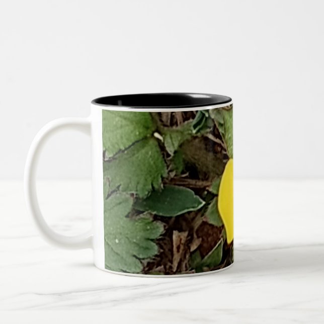 Bicolor Taza Tulipán Amarillo (Izquierda)