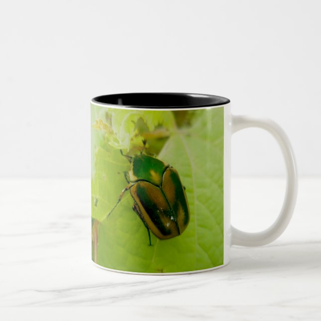 Bicolor Taza verde del escarabajo de junio (Derecha)