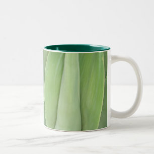 Bicolor Taza verde del terciopelo
