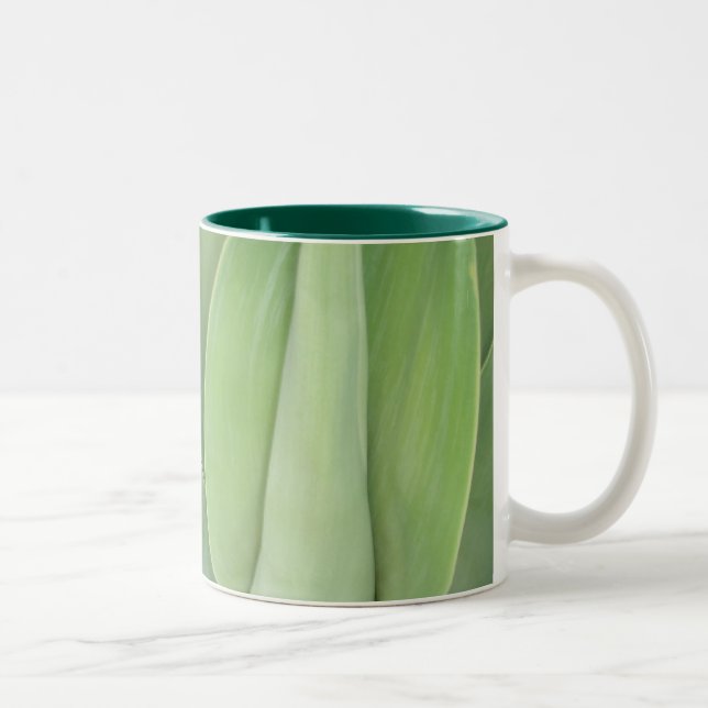 Bicolor Taza verde del terciopelo (Derecha)