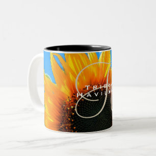 Bicolor tazón de taza