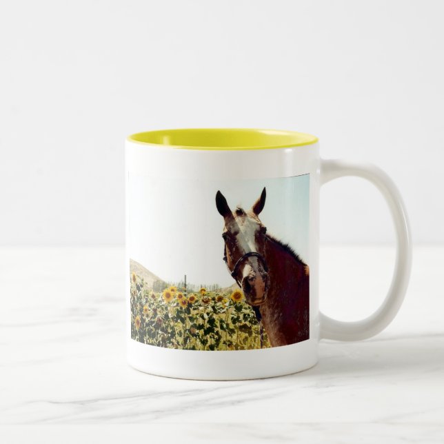 Bicolor ¡Tenga una taza de sol! (Derecha)