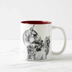 Bicolor Terrieres de Norwich y taza del caballo
