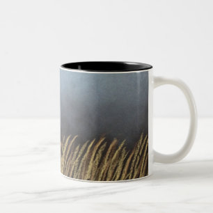 Bicolor Tormenta en una taza de café - diseño de taza de c
