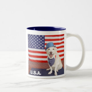 Bicolor U.S.A. Taza