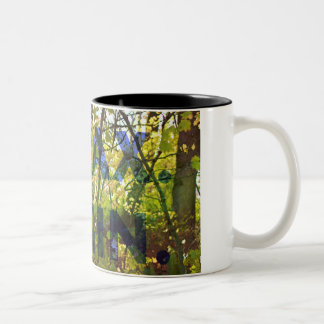 Bicolor ¡Una taza para usted!