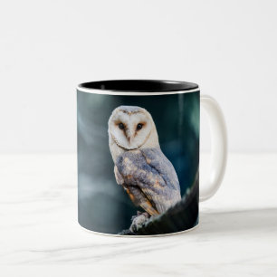 Bicolor Vivienda en casa, taza de café, taza de té