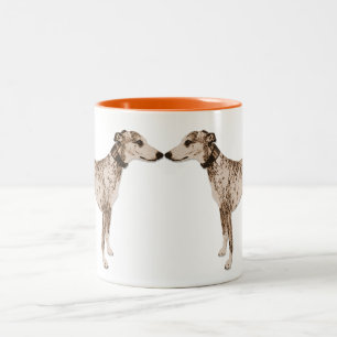 Bicolor Whippet besa la taza