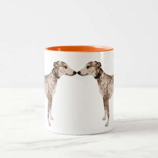 Bicolor Whippet besa la taza