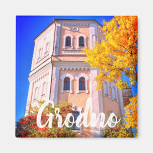 Bielorrusia Grodno Arquitectura Paisaje Imán