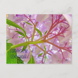 ¡Bien Hecho! tarjeta postal Flores de Hortensia Ro