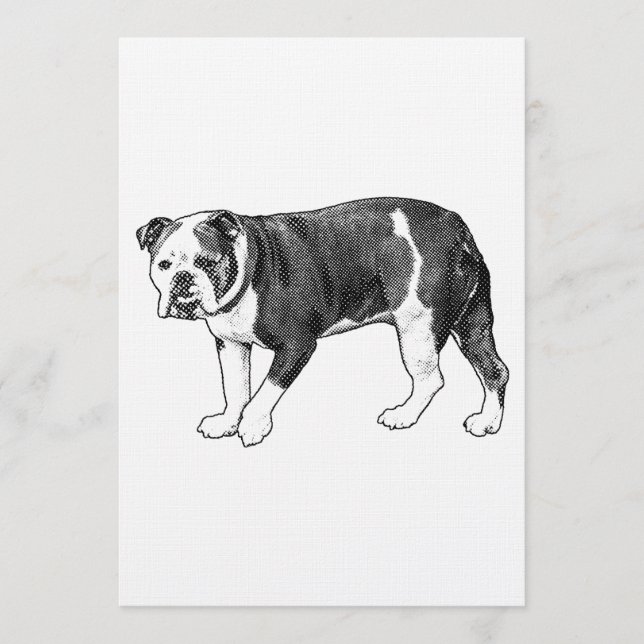 Bienvenida Bulldog, Invitación Punteada (Anverso)
