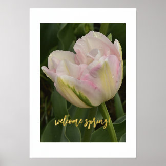 ¡Bienvenida Primavera! Poster de impresión de text
