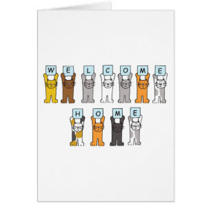 Bienvenido a casa Personalizado de gatos