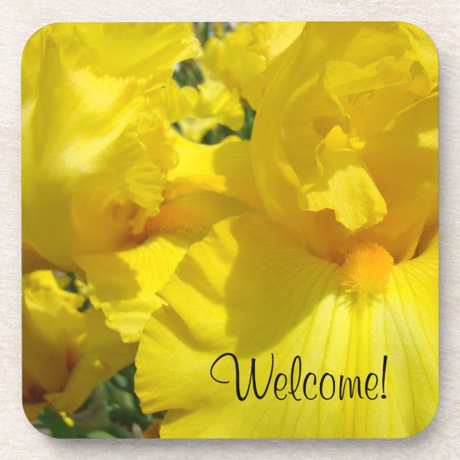 ¡Bienvenido! posavasos Flores Iris Amarillo Floral (Frente)