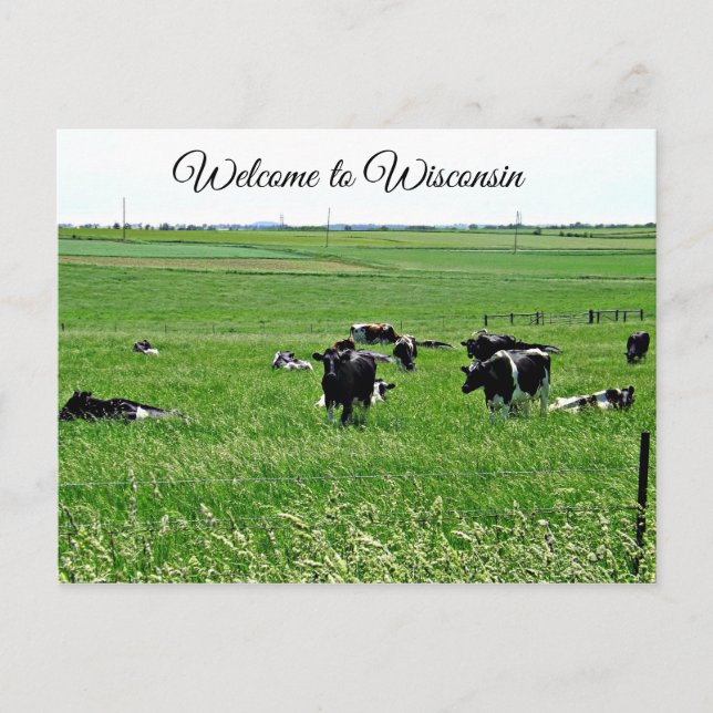 Bienvenidos a la postal de campo de las vacas de W (Anverso)