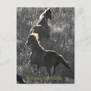 Bienvenidos A La Postales De Nebraska