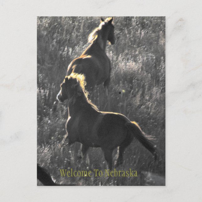 Bienvenidos A La Postales De Nebraska (Anverso)