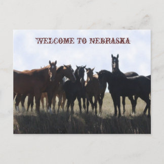Bienvenidos A La Postales De Nebraska