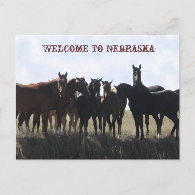 Bienvenidos A La Postales De Nebraska (Anverso)