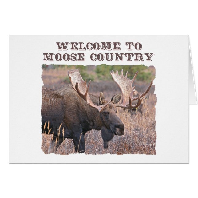 Bienvenidos a Moose Country (Anverso (Horizontal))