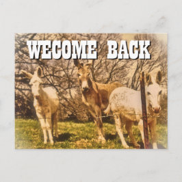 BIENVENIDOS DE LA postal DE VUELTA