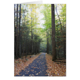 Bifurcación del rugido en la caída