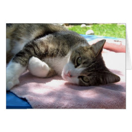 Big Boy en la mesa te amo la carta