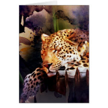 Big Cat Blank dentro de la tarjeta de todas las oc