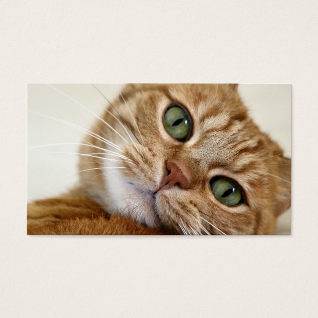 Big Naranja Kitty (Frente)