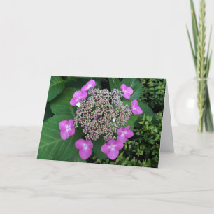 Bigleaf Hydrangea, tarjeta de saludo