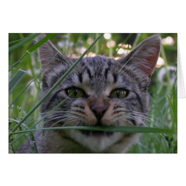 Bijou Grass (Anverso (Horizontal))