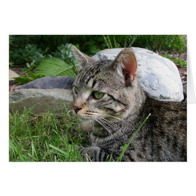 Bijou Stone (Anverso (Horizontal))