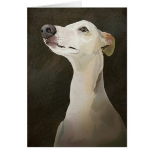 Bilbo el Whippet