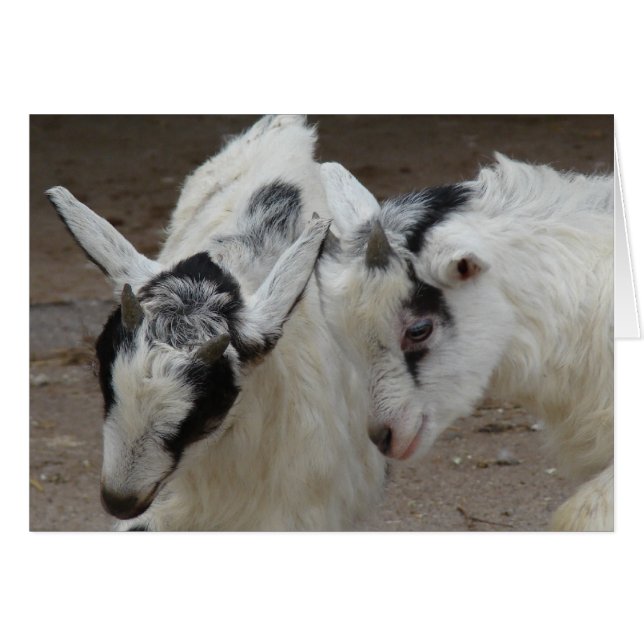 Billy Play (Anverso (Horizontal))