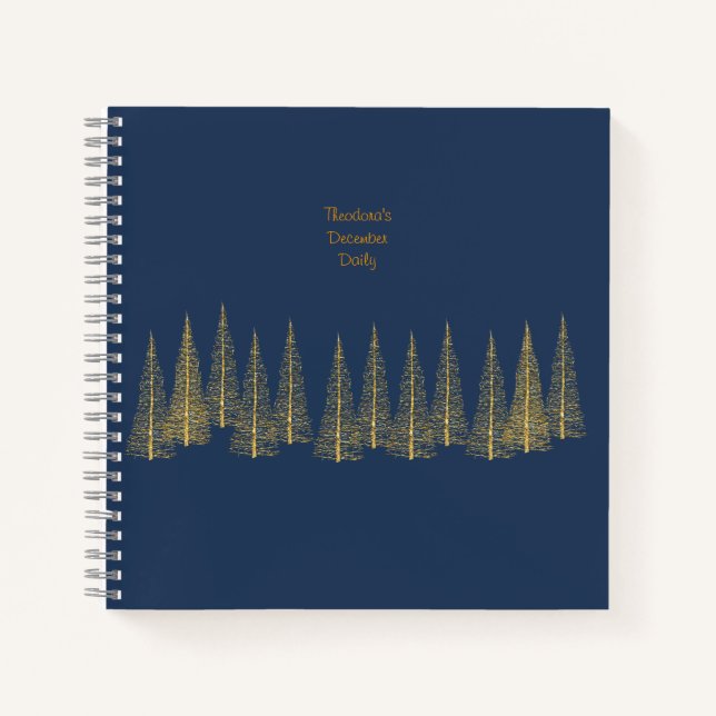 Binder de álbumes de álbumes de Navidades diarios  (Anverso)