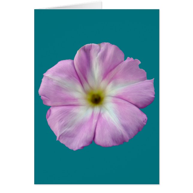 Bindweed #1 (Frente)