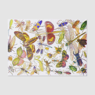 Biología del papel seda el | del insecto de los