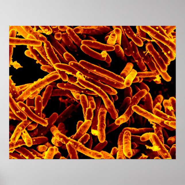 biología microbiología arte abstracto poster lienz (Frente)