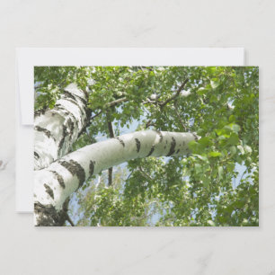 BIRCH