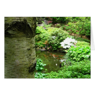Birch