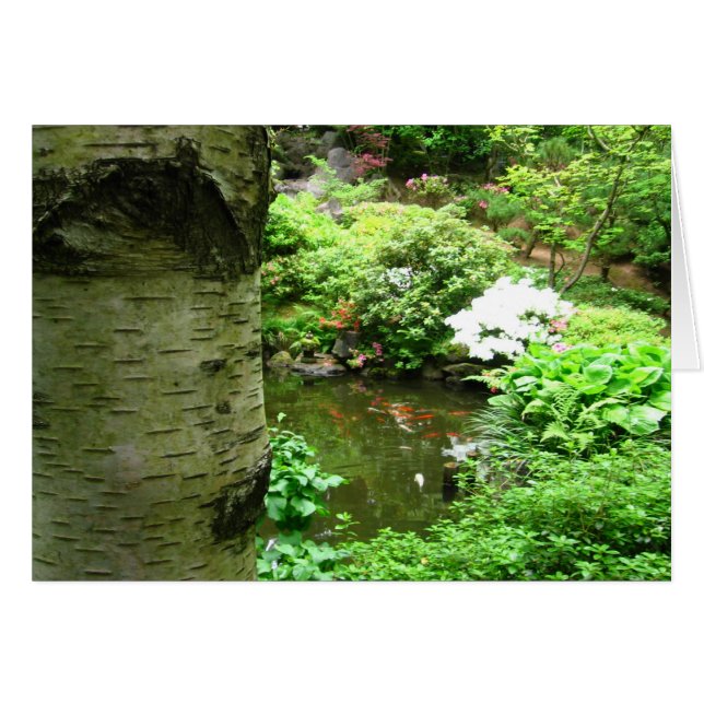 Birch (Anverso (Horizontal))