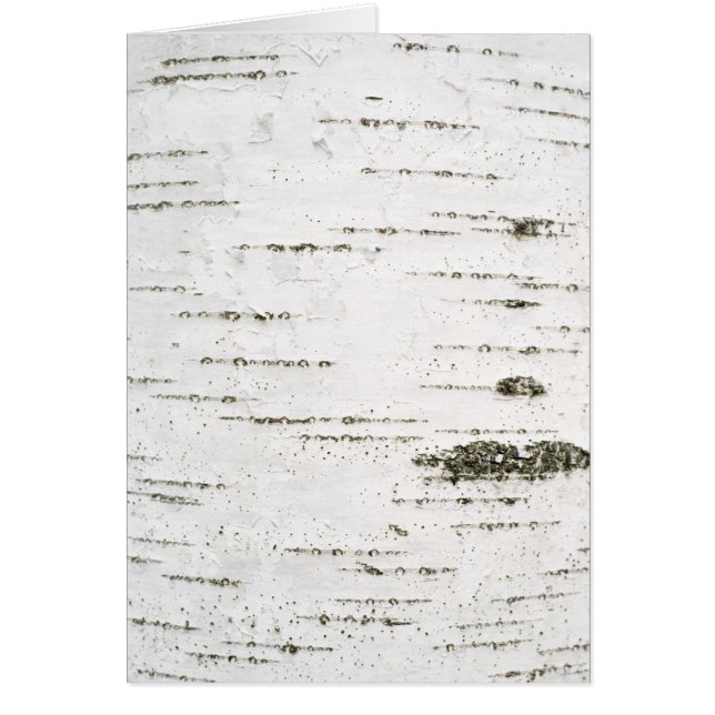 Birch bark (Frente)