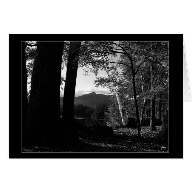 Birch blanca en una tarjeta de sol de Chocorua (Anverso (Horizontal))